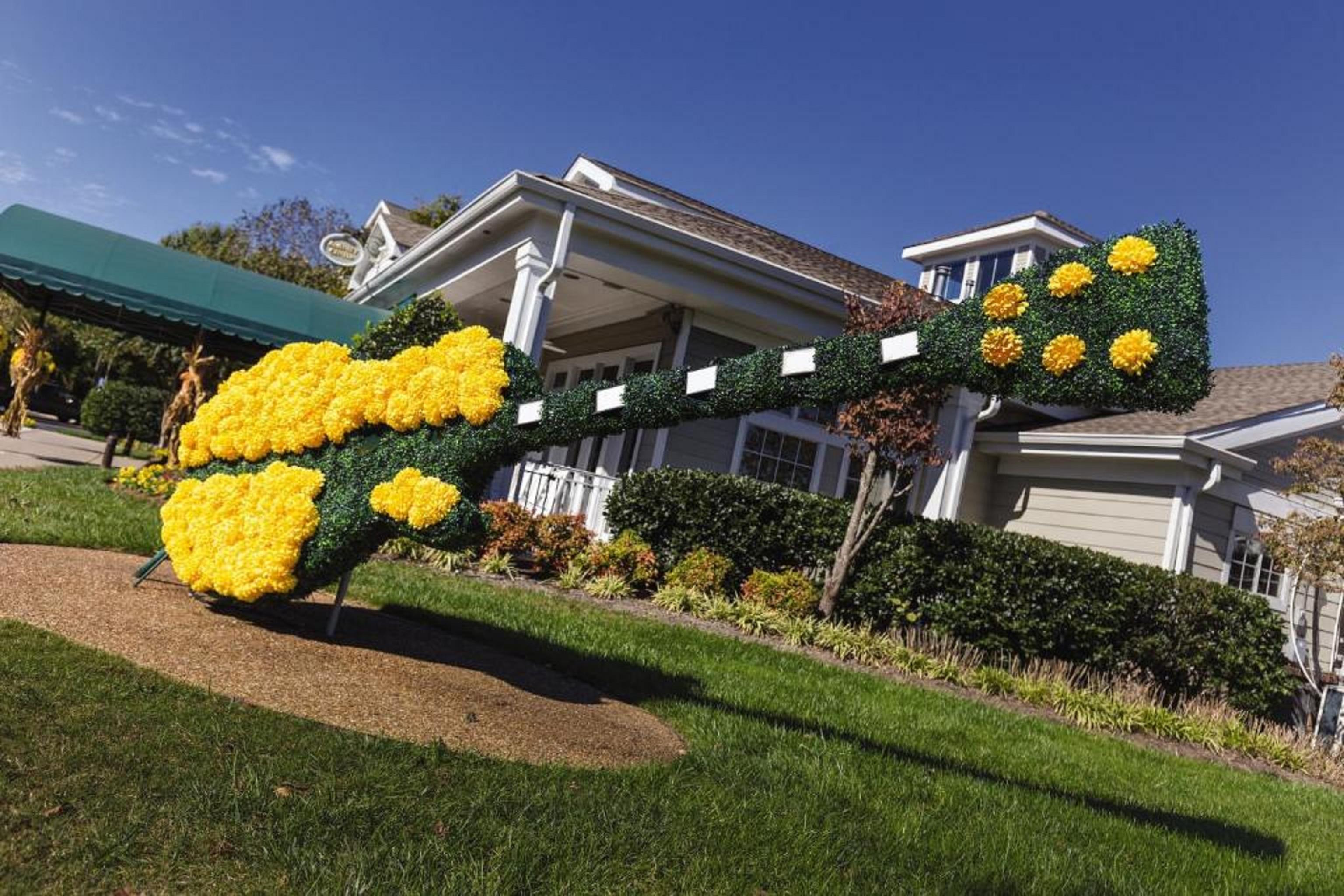 Club Wyndham NashvilleNashville  Kültér fotó